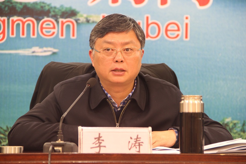 市委常委、常务副市长李涛同志讲话