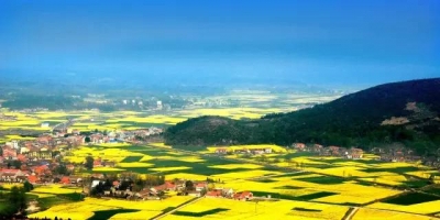 荆门市2018年度改革“金点子”获奖名单