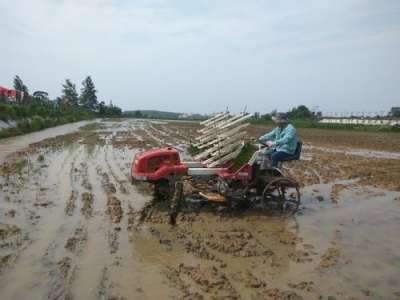 荆门丨农田里来了“小帮手”