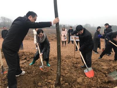 市政协机关干部参加义务植树活动