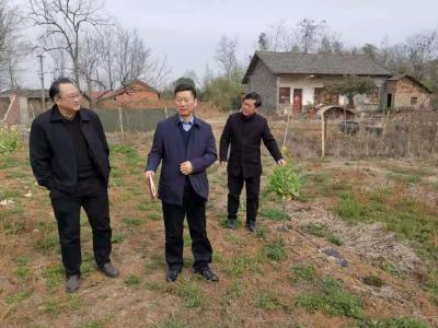 杨希雄到付泉村调研精准扶贫工作