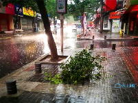 致敬！风雨中的他们让城市更美丽