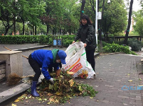 致敬！风雨中的他们让城市更美丽