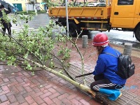 致敬！风雨中的他们让城市更美丽