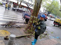 致敬！风雨中的他们让城市更美丽