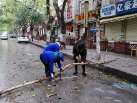 致敬！风雨中的他们让城市更美丽