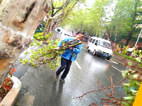 致敬！风雨中的他们让城市更美丽