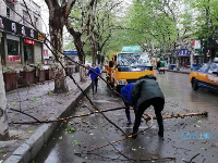 致敬！风雨中的他们让城市更美丽