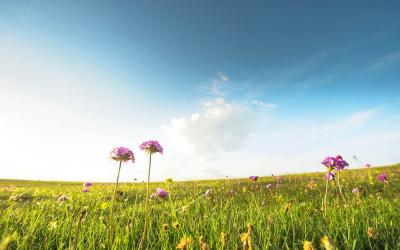 荆视频直播|《现在嘎事》11月11日橘岛庄园岛橙开园