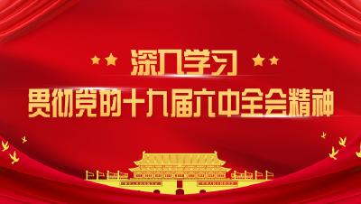 市政府国资委传达学习贯彻党的十九届六中全会精神