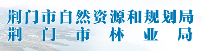 荆门市局扎实做好自然资源领域安全生产工作