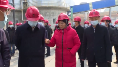 王玲率队来荆开展磷石膏污染防治工作视察调研时强调 完整准确全面贯彻新发展理念 加快推动磷化产业高质量发展 