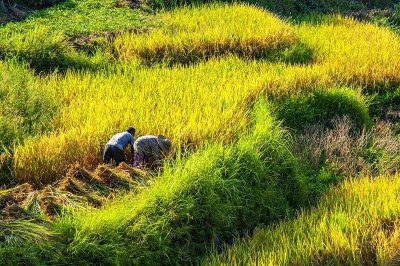 在大自然面前——写在2023年来临之际