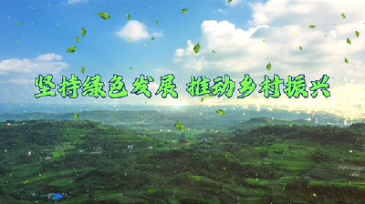 理“响”荆门｜坚持绿色发展 推动乡村振兴