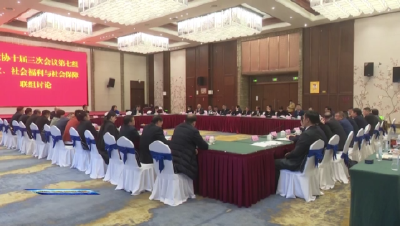 【聚焦荆门“两会”】 赵少莲参加荆门市政协十届三次会议农业、社会福利与社会保障联组讨论  