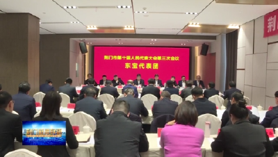 【聚焦荆门“两会”】 胡亚波参加东宝代表团审议    