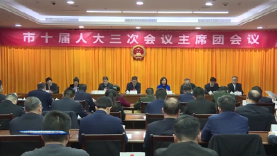【聚焦荆门“两会”】  荆门市十届人大三次会议主席团举行第二次会议
