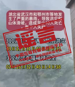 今日辟谣（2024年11月11日）