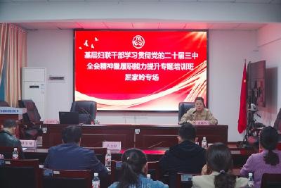 屈家岭举办全区基层妇联干部学习贯彻党的二十届三中全会精神暨履职能力提升专题培训班